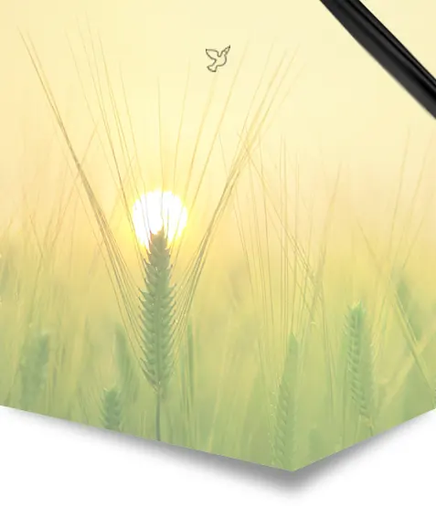 Locandina necrologio singolo - campo di grano al tramonto