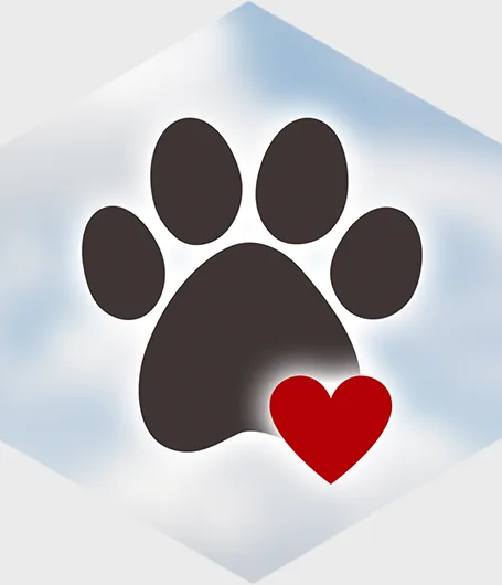 impronta di cane con cuore
